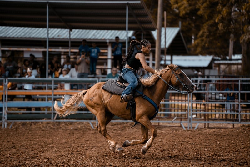 Wild West